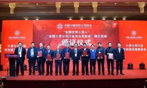 南宁市大都小额贷款有限公司董事长冷洪作
